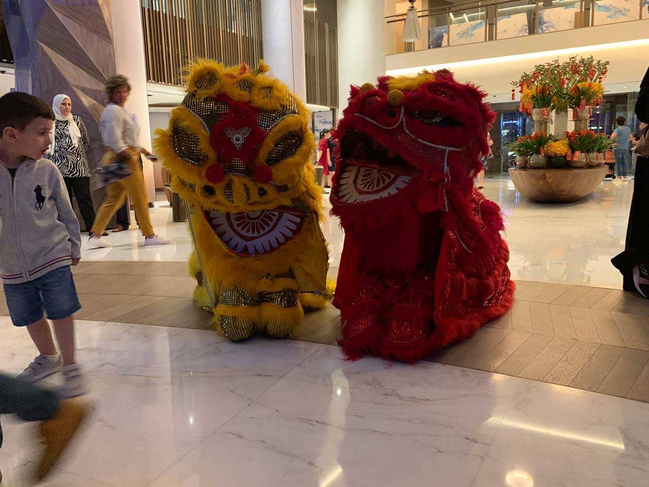 Chinese lion dance 2 - DANCE TROUPE